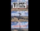 絶対に操縦桿を握らせたくないゆっくり実況者