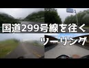 【Tesi3D】#017 国道299号線を往くツーリング【VVlog】
