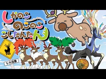 しかポケのこのここしたんたん