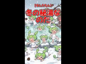 【ずんだもん】冬の秘湯なのだ