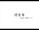 待宵草 feat. 初音ミク/彩少