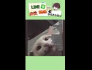 【ほ!?!?】爆笑誤爆LINEが面白すぎるｗ　Part 74
