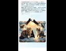 猫の天国での再会。⑰(AI動画)