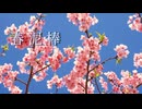 春泥棒／ヨルシカ　歌ってみた