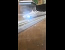 限界新幹線バルキリー　中間車加工