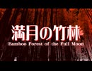【東方】満月の竹林【アレンジ】