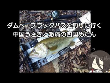 ダムへ　ブラックバスを釣りに行く中国うさぎと激痛の四国めたん【VOICEROIDフィッシング】四国めたんと中国うさぎ