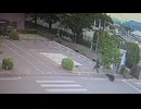 ホモと見る福島県の工場に侵入するクマ