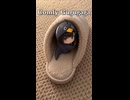 ケツデカピングー