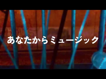 あなたからミュージック / ナースロボ＿タイプT