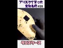 トルティーヤを買った！