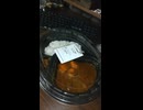 YMDD_208　マイカリー食堂：ごろごろ野菜欧風カレー・普通サイズ2辛（辛口）