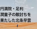 円満院・足利潤童子の敵討ちを果たした北条早雲