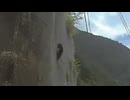 ホモと見る網を普通に登ってしまう野生のクマ