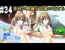 【実況】空と出会い、そして焦がれた この大空に、翼をひろげて(Switch版)をやりまSHOW part34