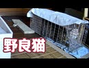 【野良猫】身柄確保！ 【元野良猫】