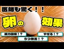 【科学的根拠あり】卵の健康効果がヤバい！！【ゆっくり解説】