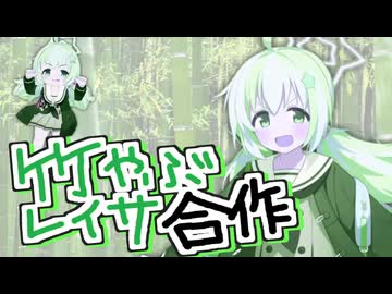 竹やぶレイサ合作