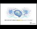 普遍的サイバネティクス：ビットからトポロジーへ