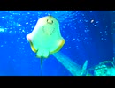 【音街ウナ＆歌愛ユキ＆初音ミク＆GUMI＆flower】Marine