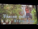 カラオケ「人生花ざかり」島倉千代子　（私のクシャミ付き）　1991    壁にある皿