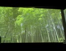 カラオケ「野薔薇のワルツ」島倉千代子