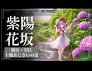 いたち川でアジサイさんぽ　個性豊かな紫陽花たち【voiceroid】