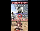 【ウマ娘】友人にウマ娘のアキネーター風クイズをさせてみた結果……