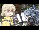【上伊那ぼたん、酔へる姿は百合の花】聖地巡礼★武甲山・東京スカイツリー