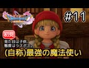 最強（で生意気）な魔法使い、ベロニカ現る【ドラクエ11S 初見】#11