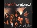 Slash's Snakepit - Been There Lately