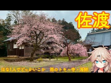 【VOICEVOX車載】ほな1人でどっかいこか（佐渡　雨のトキ・寺・海鮮）