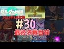 [tk30]ゼルダの伝説ティアーズオブザキングダム実況Part30