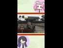 【お城解説】日本のお城ひとくち解説　#11 平城