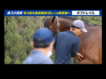 【安田記念】出走予定馬のフォトパドック
