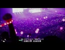 firefly