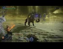 3日でムキムキになって夜の王を打倒しろ！【ELDEN RING NIGHTREIGN】＃48
