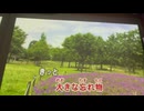 カラオケ「ワニとシャンプー」ももいろクローバーZ