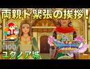 【DQXIS】出会ったモンスターのドット絵を描くドラクエXI S #100 ロウと幸せの王国編！【ドラゴンクエストXI S】(ネタバレ注意)