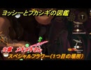 ヨッシーとフカシギの図鑑　９章　メキメキさん　スペシャルフラワー（１つ目の場所）　＃２６０　【Switch2】