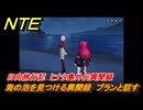 NTE　海の泡を見つける異聞録　ブランと話す　日向旅行記　ヒナタ島外伝異聞録　Ver1.1追加イベント　＃２２　【ネバエバ】