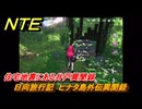 NTE　住宅地裏にある井戸異聞録　日向旅行記　ヒナタ島外伝異聞録　Ver1.1追加イベント　＃２４　【ネバエバ】