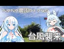 2026年6月3日　日記1745　台風6号チャンミーが襲来したら・・・思ったより・・・