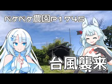2026年6月3日　日記1745　台風6号チャンミーが襲来したら・・・思ったより・・・