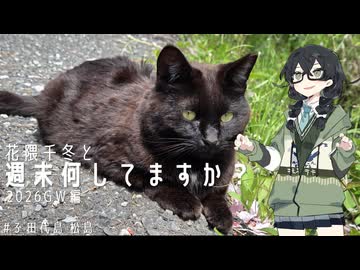 【バイク車載】花隈千冬と週末何してますか？2026GW編　＃3 田代島 松島