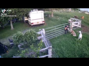 ホモと見る羊に起き攻めされて逃げられない歌い手