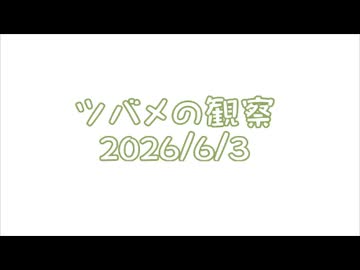 つばめの観察2026No018