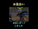 【EXVS2IB】お見合い