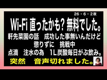 26・6・2夜①　ミニトマト　生姜　オクラ　ニガウリ　挑戦中。