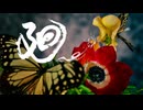 廻-花は無心にして蝶を招く-